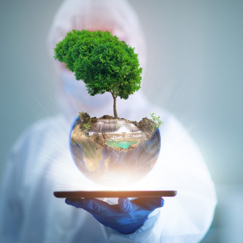 dg-reciclagem-meio-ambiente